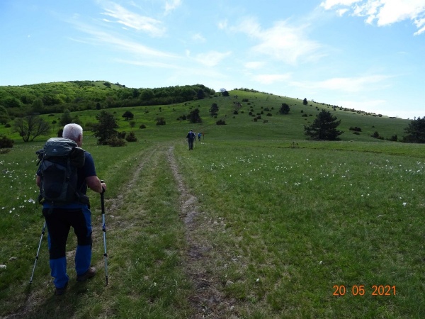 Pohod Vandrovcev: Senožeče (560 m) – Vremščica (1027 m), 20. maj 2021
